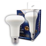 LED sijalica E14 R50 – 5W 6500K